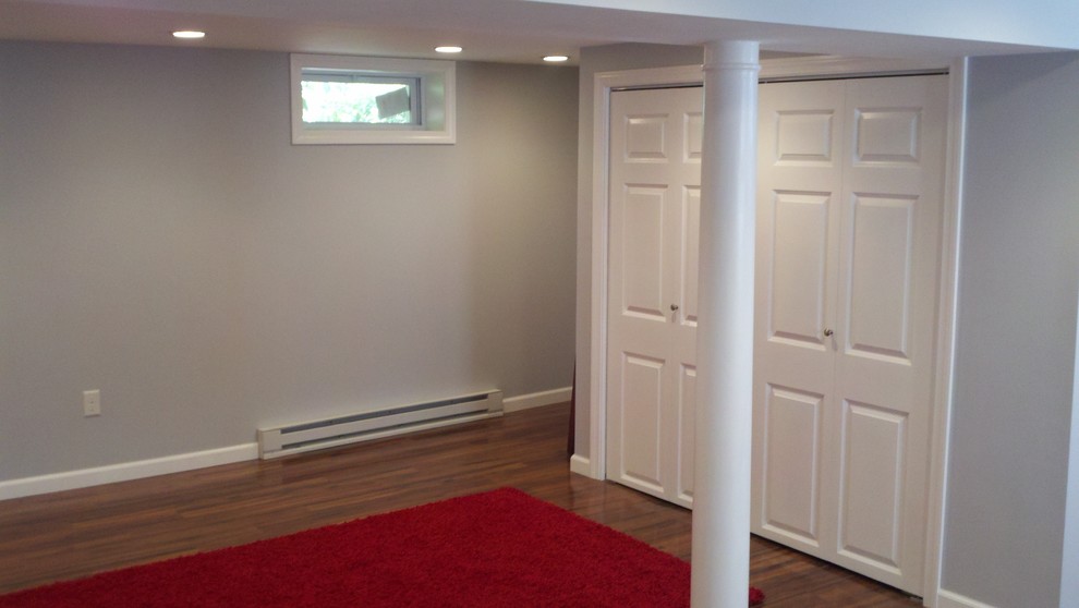 Basement - small traditional look-out dark wood floor basement idea in Bridgeport with blue walls and no fireplace