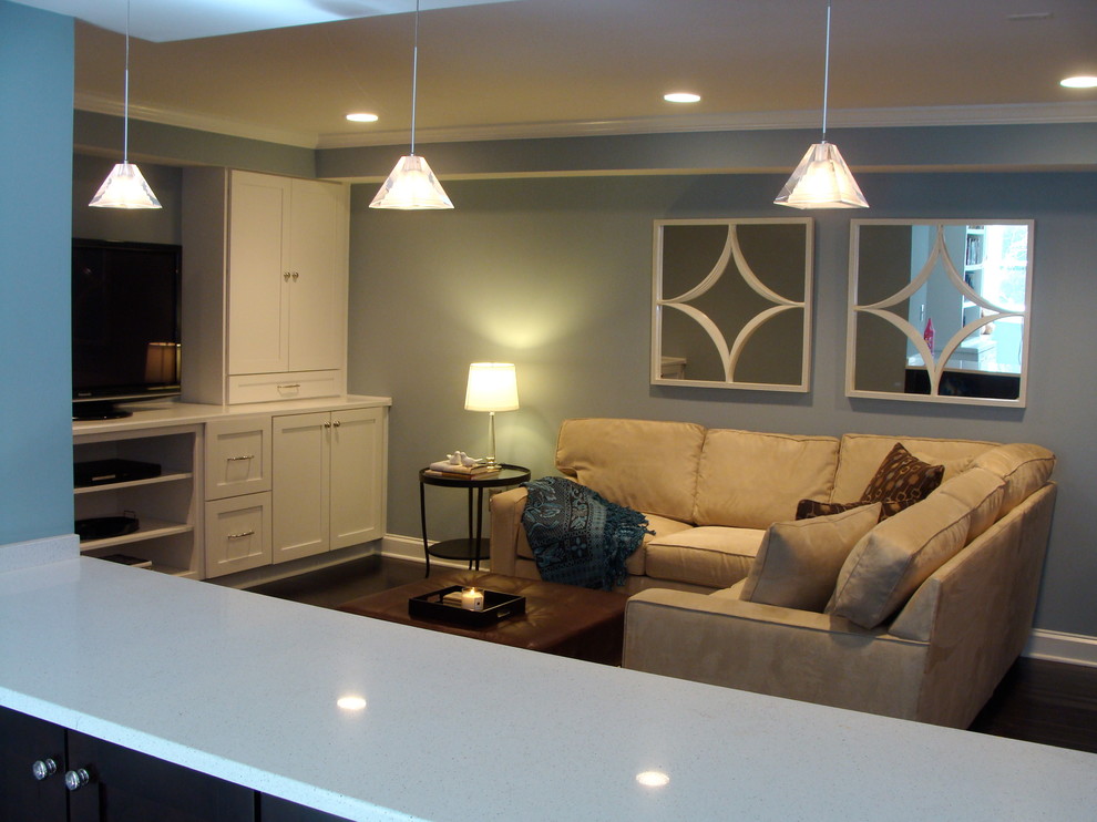 Example of a transitional basement design in DC Metro