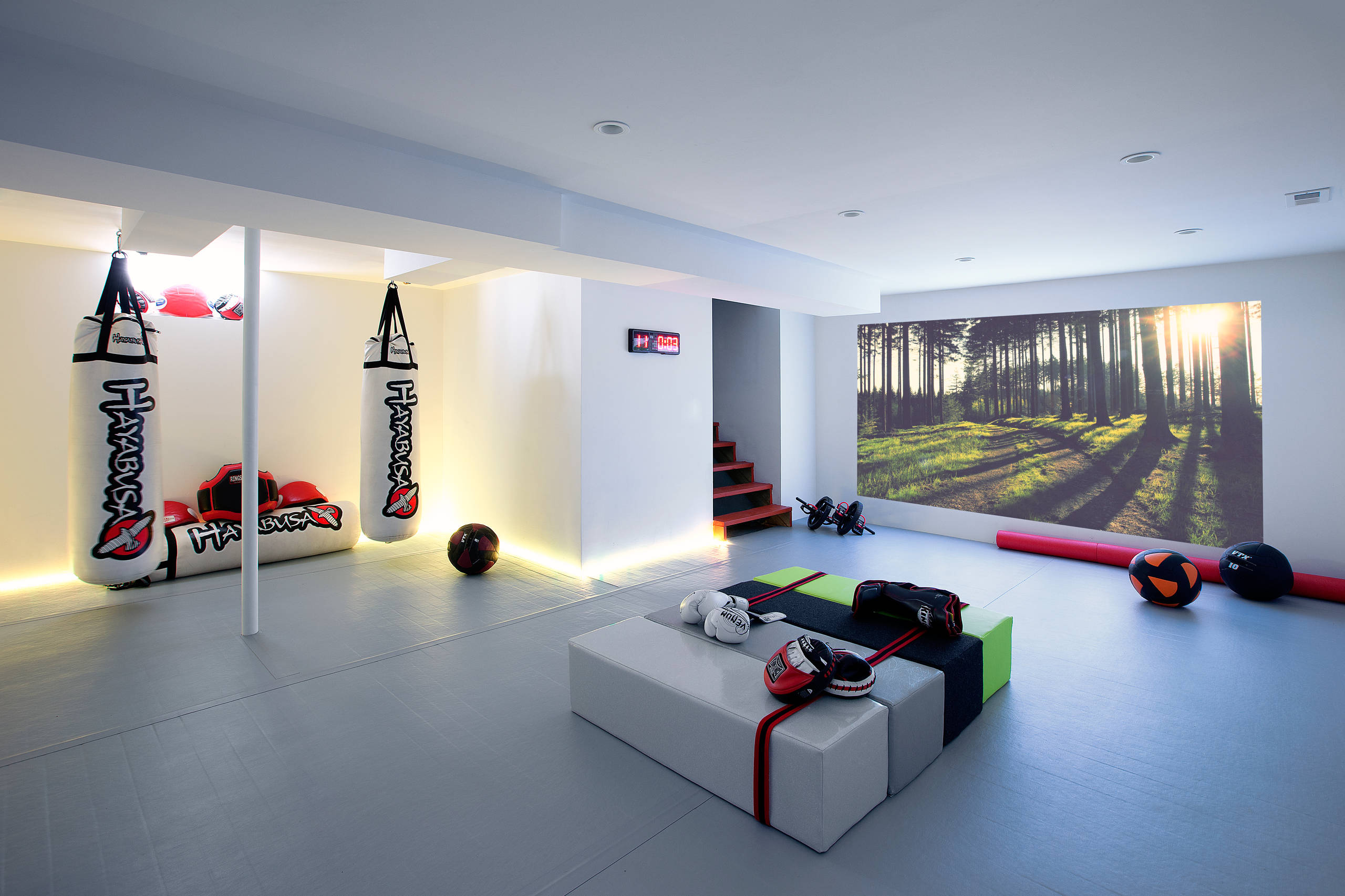 75 Beautiful Modern Basement Pictures Ideas July 2021 Houzz