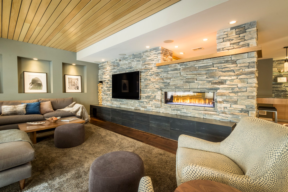Heat & Glo PRIMO SeeThrough Gas Fireplace Contemporary Basement