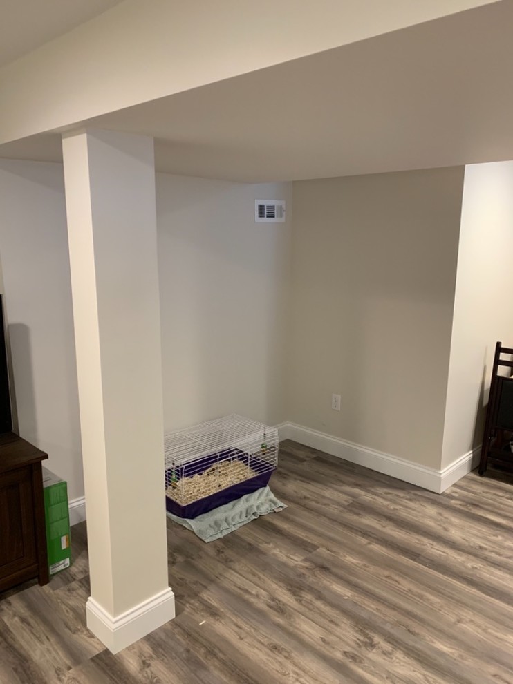 Photo of a medium sized traditional fully buried basement in Cleveland with beige walls, vinyl flooring and beige floors.