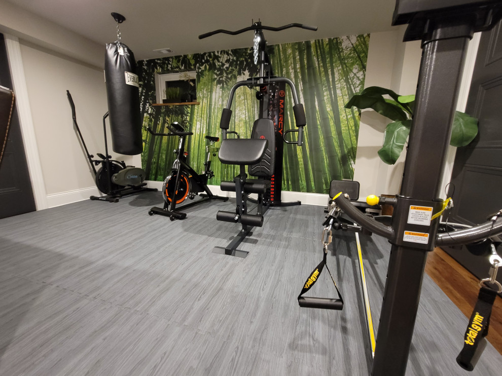 Home Gym exercise room in the basement Moderne Soussol Chicago