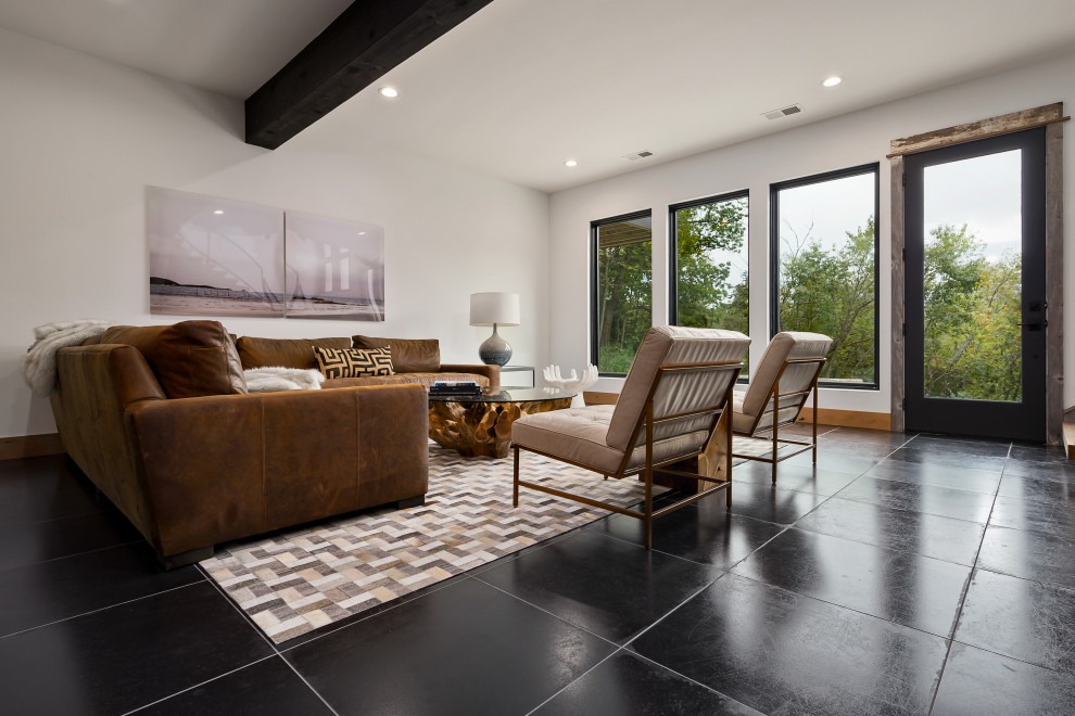 Inspiration for a large modern walk-out slate floor and black floor basement remodel in Kansas City with white walls