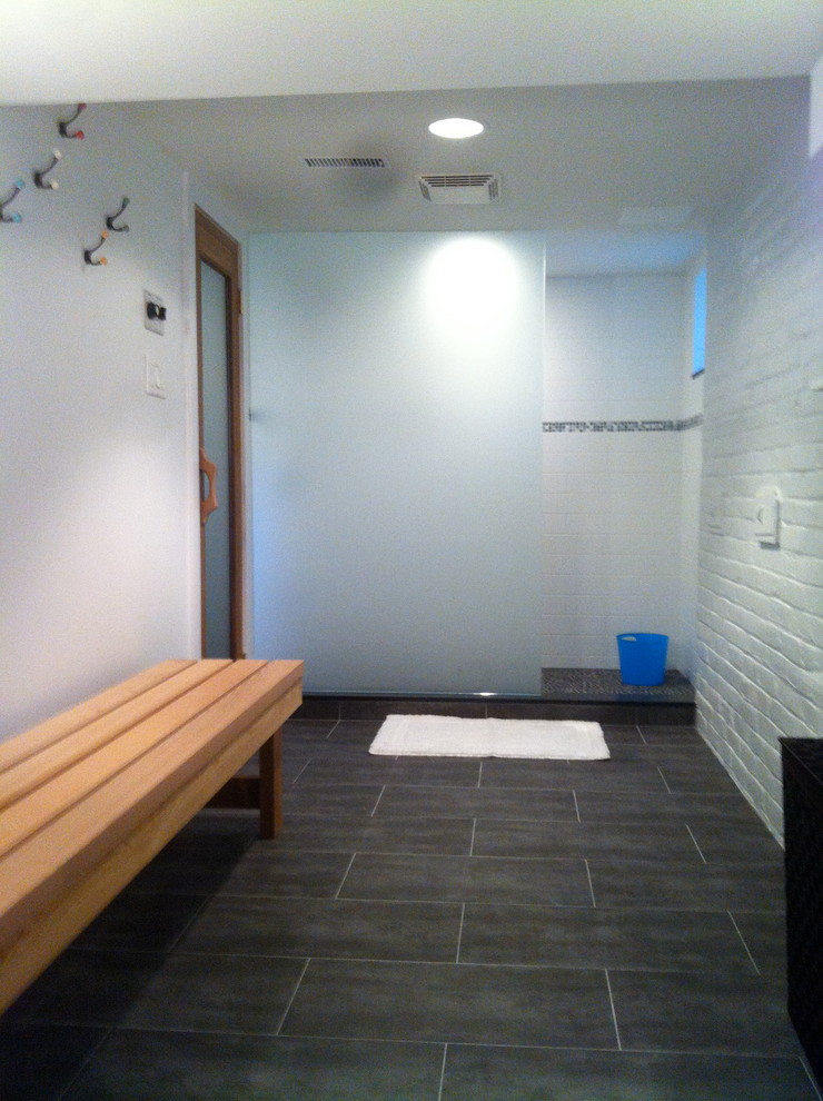 Basement - contemporary basement idea in Toronto