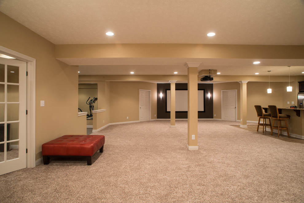 This is an example of a classic basement in Indianapolis.