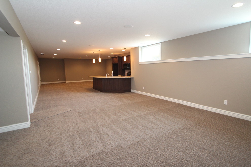 Example of an arts and crafts look-out carpeted basement design in Other with beige walls and no fireplace