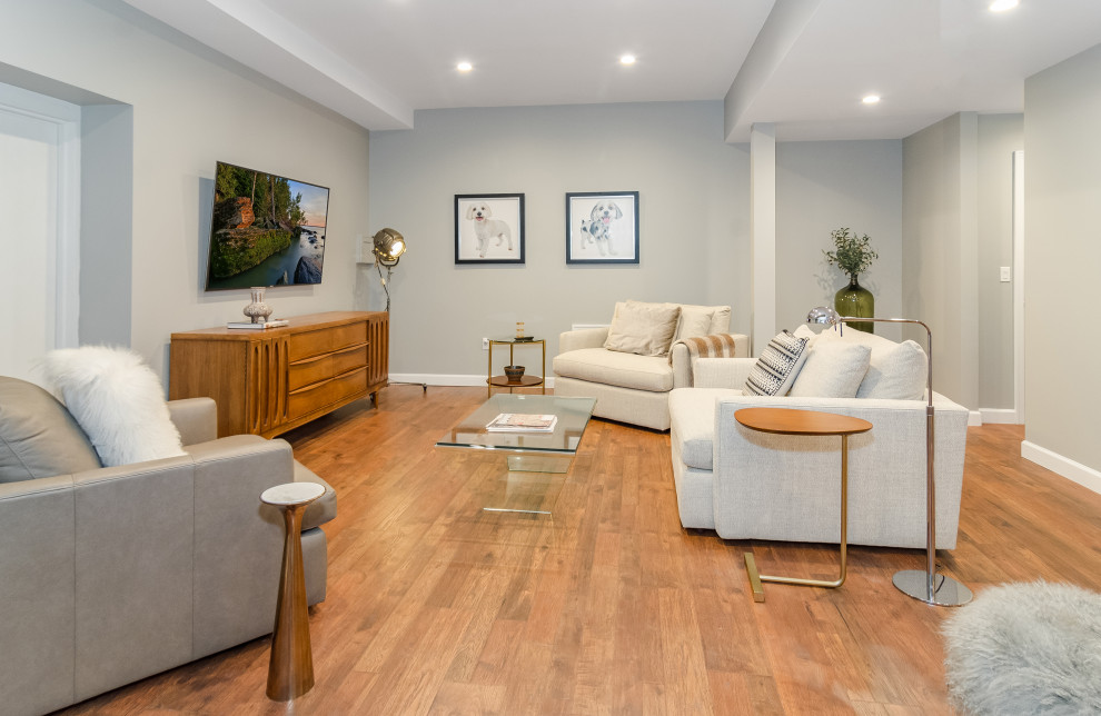 Large trendy look-out vinyl floor and brown floor basement photo in New York with gray walls and no fireplace