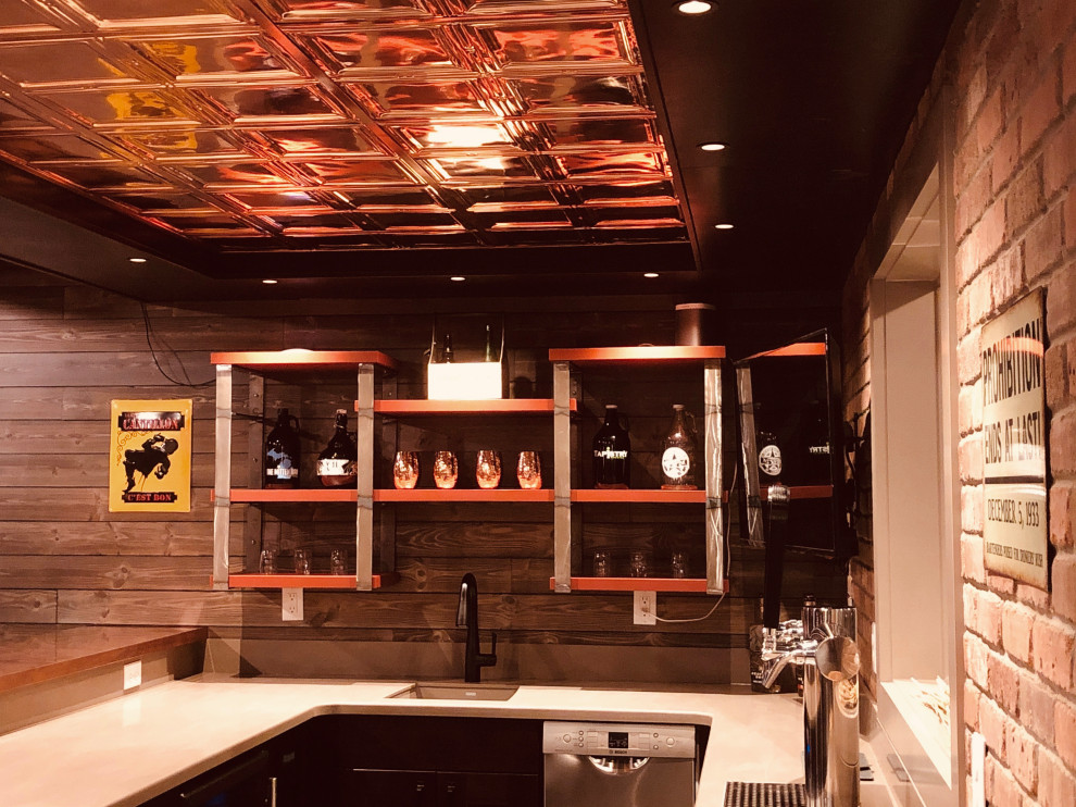 North Ann Arbor Basement Remodel Home Brewpub Transitional