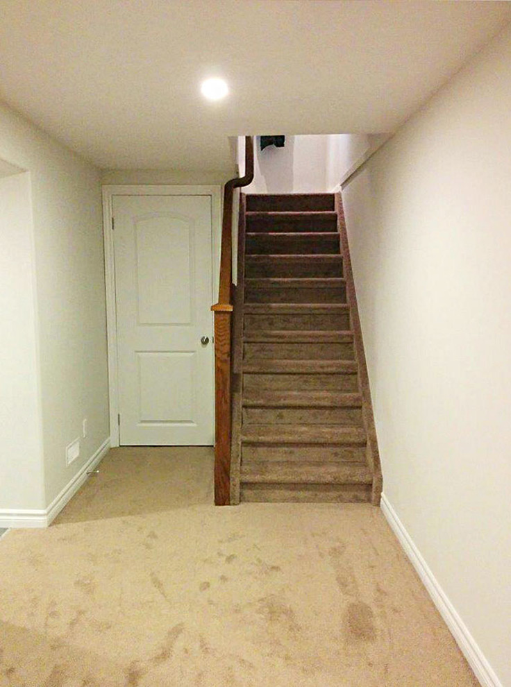 Plush Carpet Stairs with Oak Railing Modern Basement Toronto by