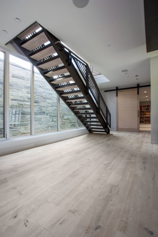 Inspiration for a modern light wood floor basement remodel in Salt Lake City