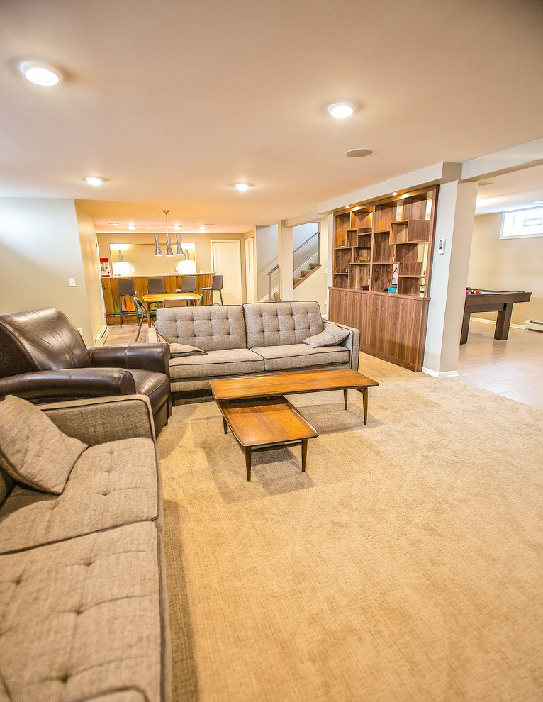 Project 3288-1 St. Anthony Minneapolis Mid-Century Modern Basement