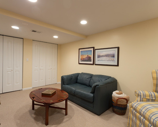 Mid-sized transitional underground carpeted basement photo in Chicago with yellow walls and no fireplace