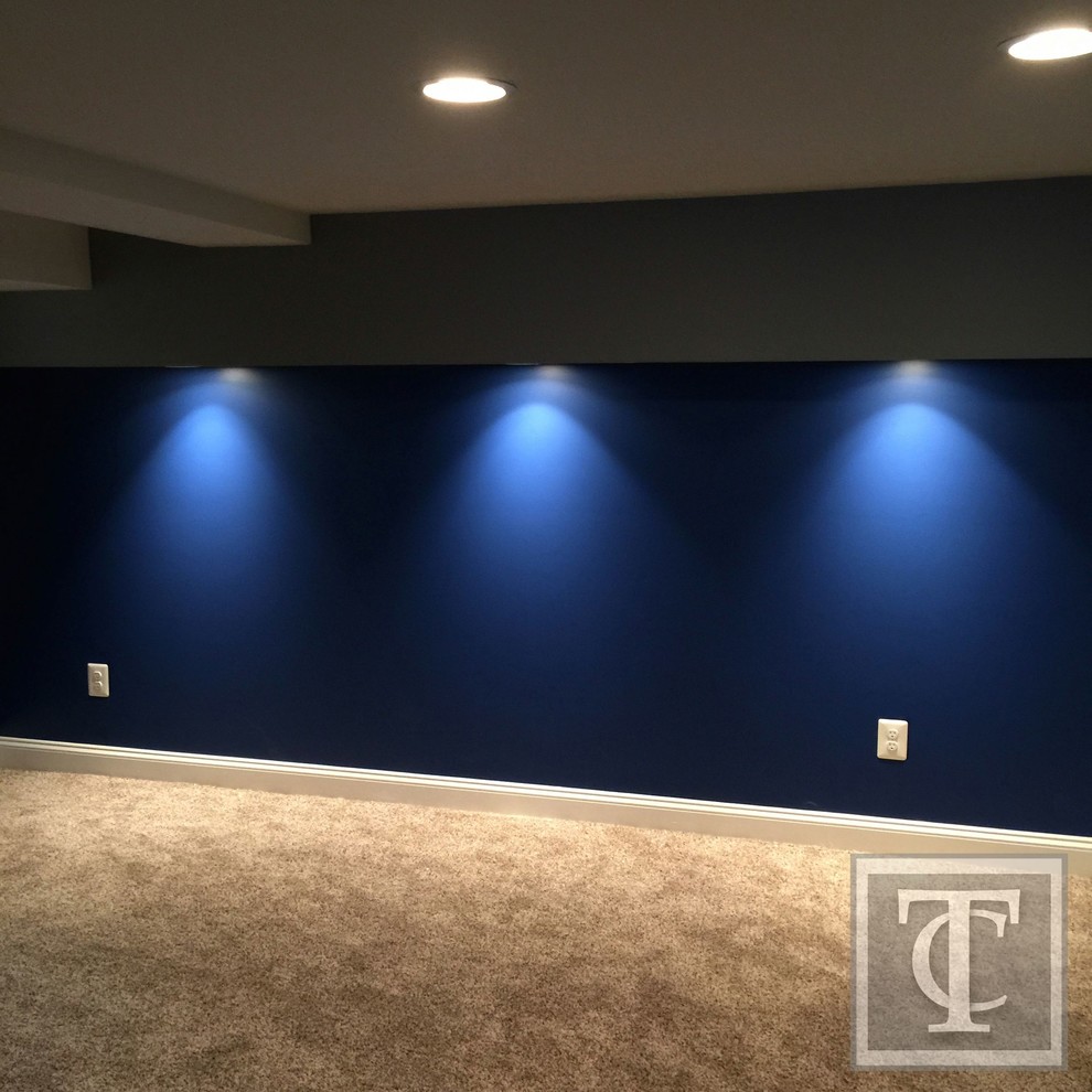 Inspiration for a small contemporary look-out carpeted basement remodel in Baltimore with blue walls and no fireplace