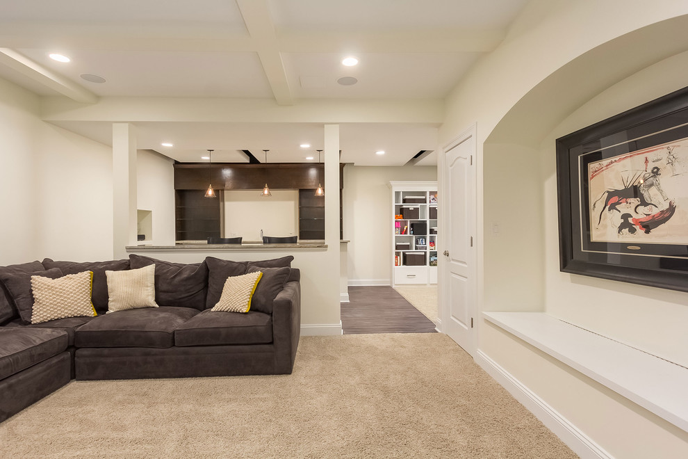 Summerdale Basement Niche - Transitional - Basement - Chicago - by FBC ...