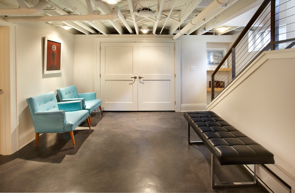 Basement - mid-century modern basement idea in Minneapolis