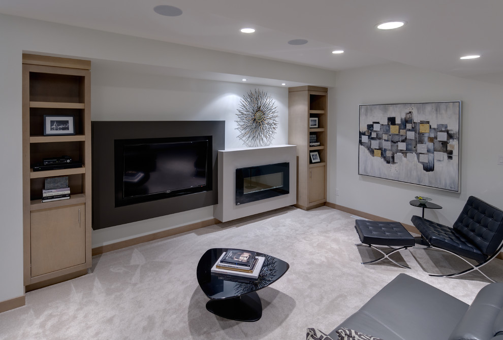 Design ideas for a contemporary basement in Other.