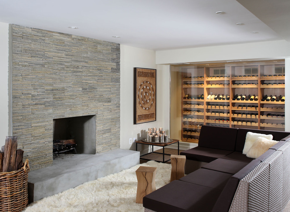 Aménagement d'un salon contemporain avec un manteau de cheminée en pierre, une cheminée standard, parquet foncé et un mur blanc.