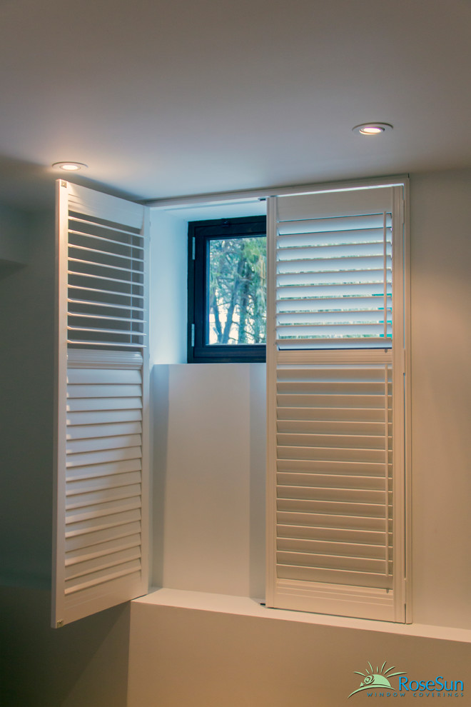 Basement - modern basement idea in Toronto