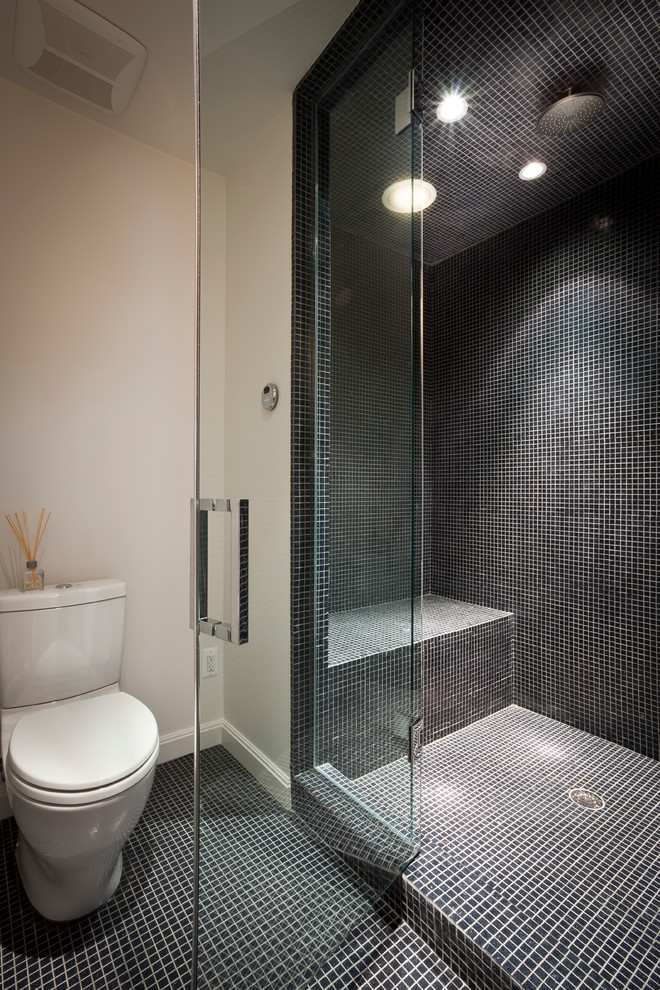 Idee per una piccola stanza da bagno con doccia minimalista con doccia alcova, WC a due pezzi, piastrelle nere, piastrelle in gres porcellanato e pavimento con piastrelle in ceramica