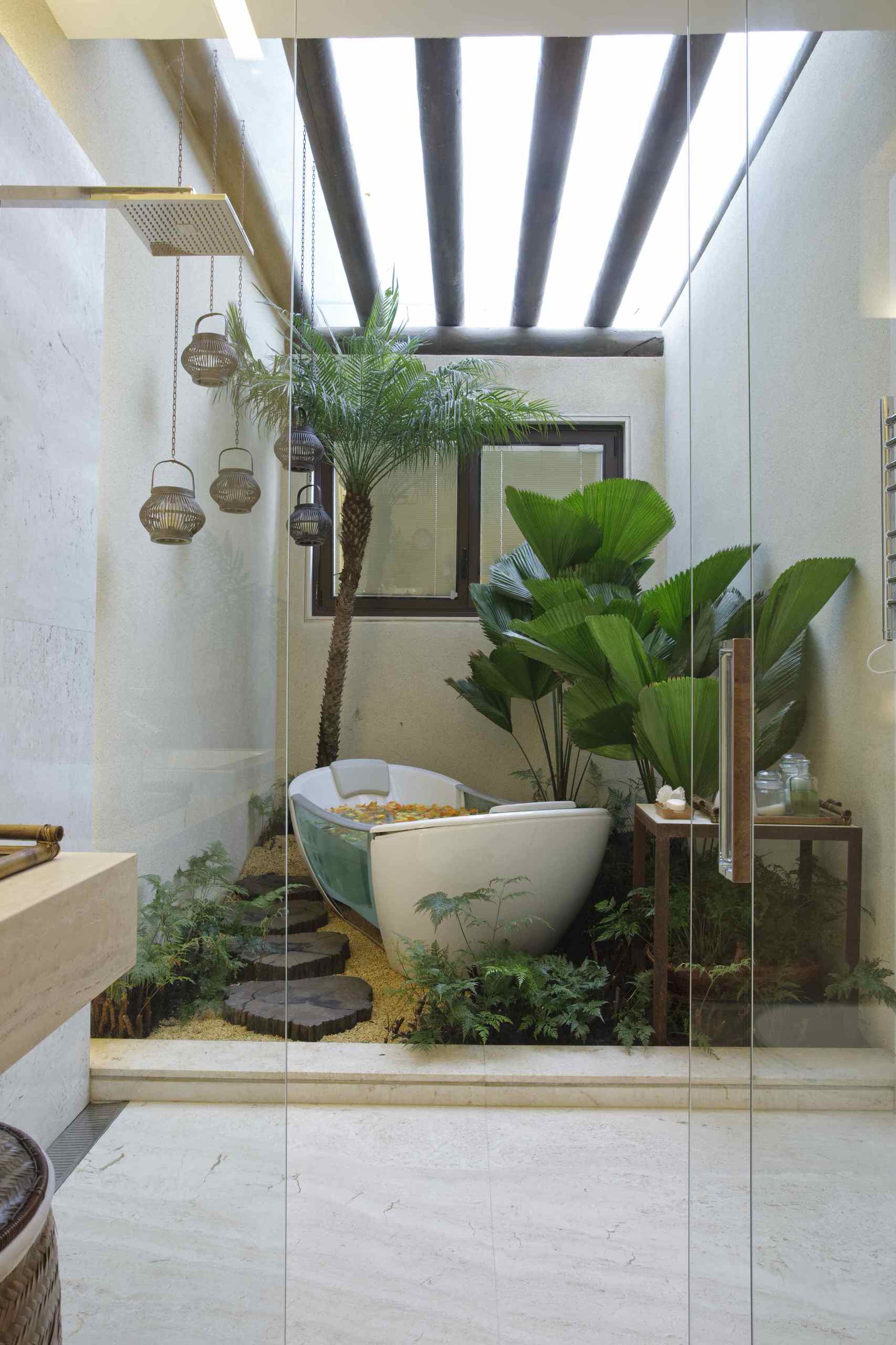 Welche Pflanzen fürs Bad? Die besten Tipps für Badezimmerpflanzen