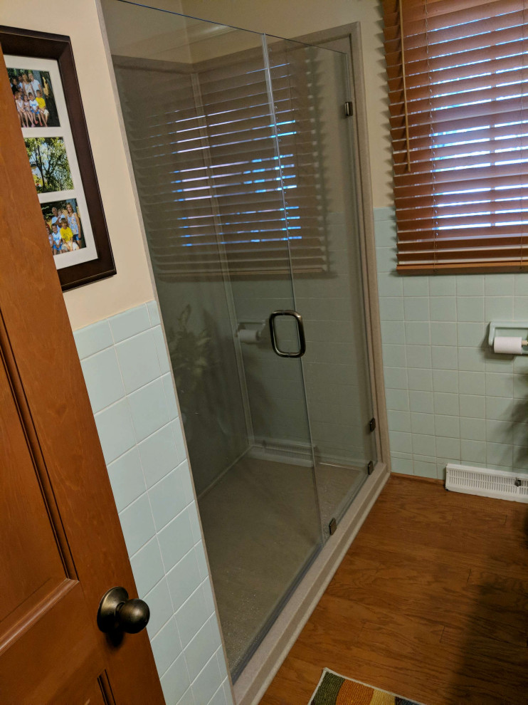 Mid-sized transitional master bathroom photo in Detroit with a hinged shower door