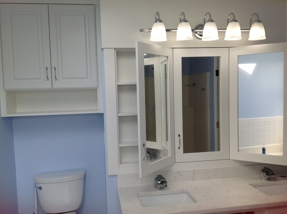 Bathroom medicine cabinet - Transitional - Bathroom - Other - by Tamra ...