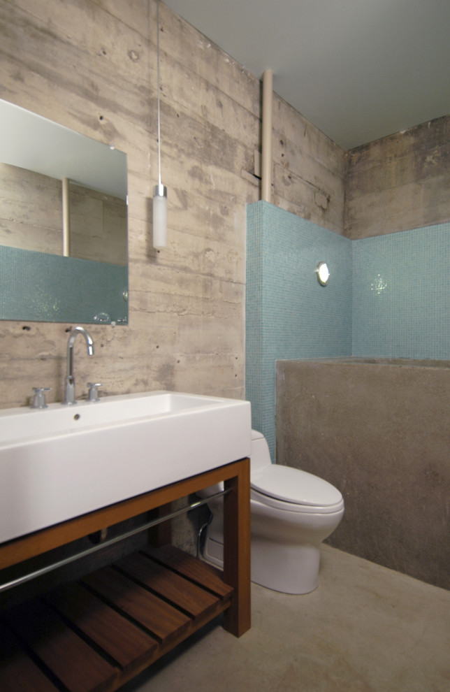 Boiler Room Contemporary Bathroom Minneapolis by Quartersawn