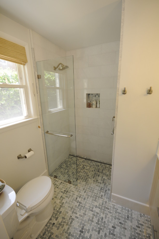 ワシントンD.C.にあるトランジショナルスタイルのおしゃれな浴室の写真