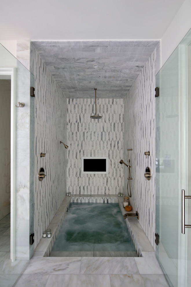 Ejemplo de cuarto de baño contemporáneo con ducha con puerta con bisagras