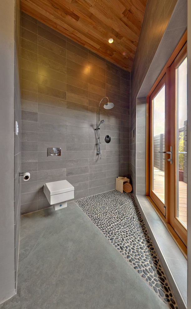 Ispirazione per una piccola stanza da bagno con doccia design con doccia aperta, WC sospeso, piastrelle grigie, piastrelle in ceramica, pavimento in cemento, pavimento grigio e doccia aperta
