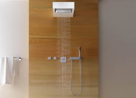 Dornbracht Rainsky Showerhead Houzz