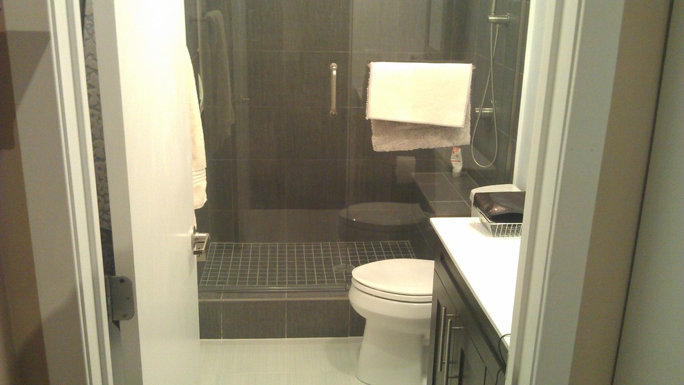 Downtown Chicago Bathroom Remodel 123 Remodeling Inc Img~d0512435024072c3 9 9694 1 7879a00 