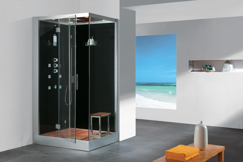 EAGO DZ959F8 Steam Showers Contemporary Bathroom Calgary by