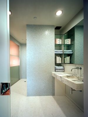 Bathroom - contemporary bathroom idea in New York