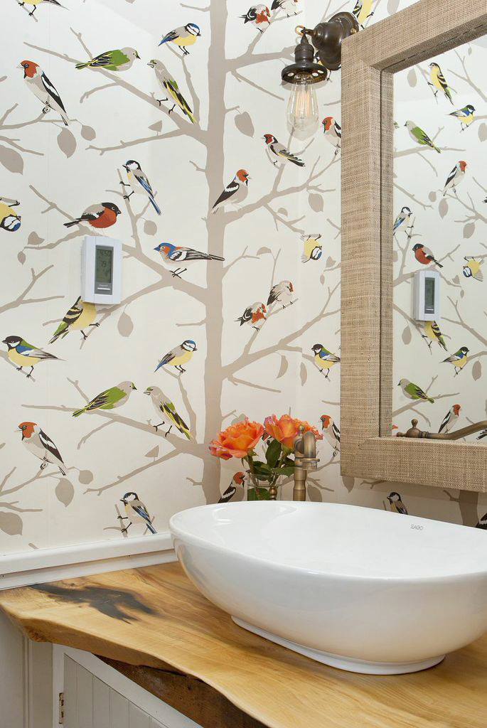 Bird Wallpaper - Photos & Ideas | Houzz Bird Wallpaper - Photos & Ideas | Houzz