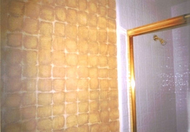 Aménagement d'une salle de bain montagne avec un mur orange.
