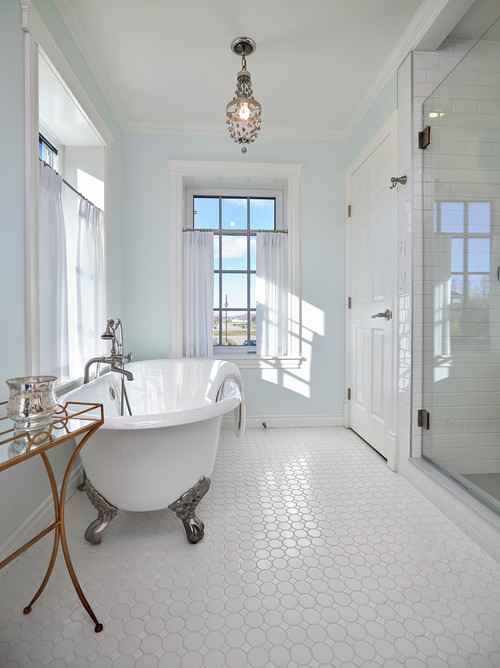 Elegance in Transition: A Clawfoot Bathtub Amidst Light Blue Hues