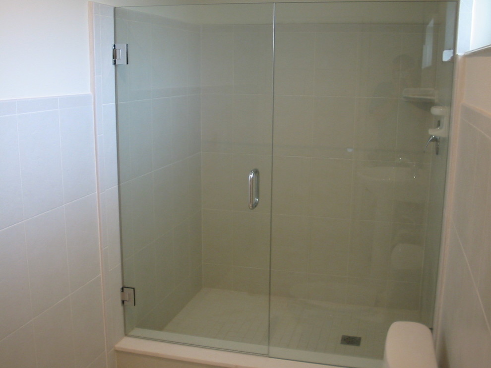 Frameless Door and Panel with Geneva Hinges Traditional Bathroom