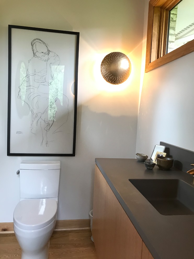 This is an example of a medium sized modern cloakroom in Detroit with flat-panel cabinets, light wood cabinets, a one-piece toilet, white walls, light hardwood flooring, an integrated sink, soapstone worktops and grey worktops.