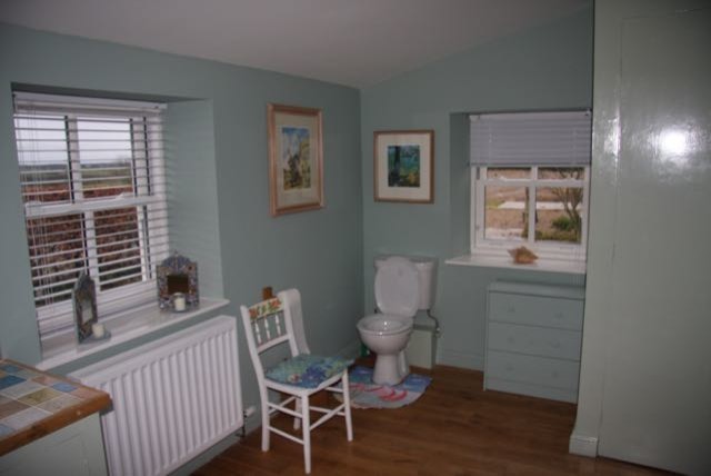 Foto de cuarto de baño tradicional pequeño con sanitario de dos piezas, paredes azules y suelo de madera oscura