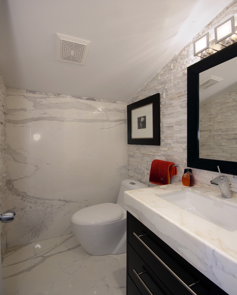 Bathroom - mid-sized contemporary 3/4 multicolored tile and stone slab marble floor and multicolored floor bathroom idea in Toronto with flat-panel cabinets, black cabinets, a one-piece toilet, multicolored walls, an undermount sink and quartzite countertops