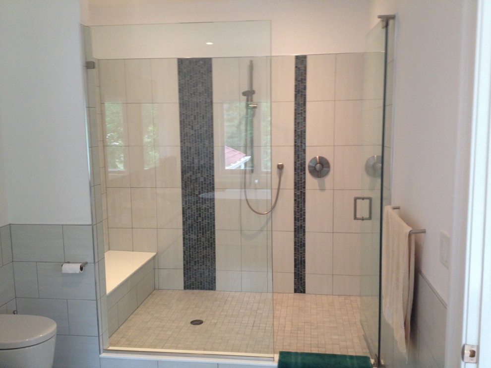 Transitional porcelain tile bathroom photo in New York