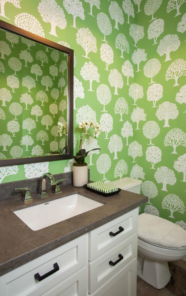 Foto di una grande stanza da bagno con doccia minimal con lavabo da incasso, ante con riquadro incassato, ante bianche, WC monopezzo, pareti verdi e parquet scuro
