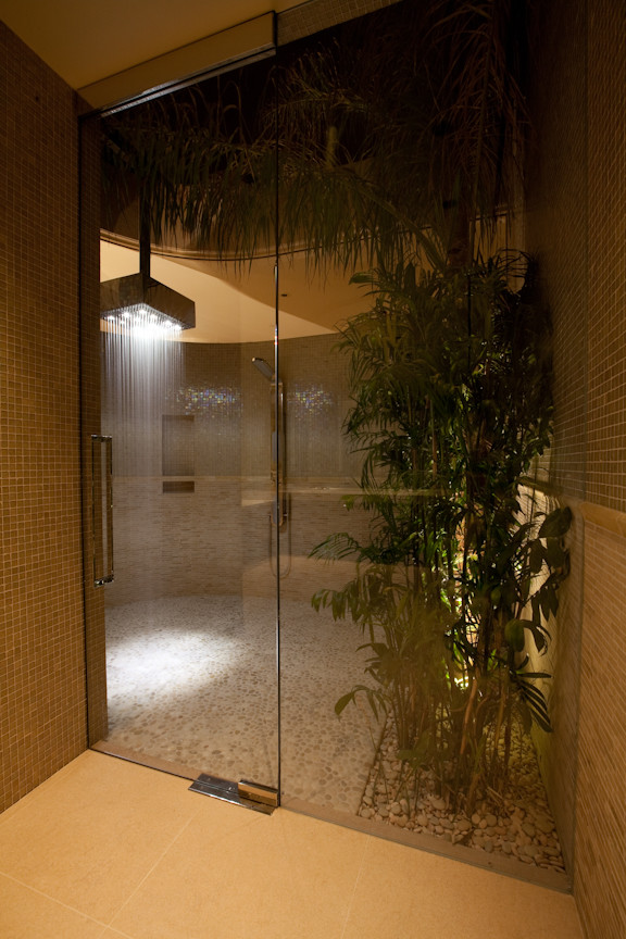 Immagine di un'ampia stanza da bagno chic con zona vasca/doccia separata e porta doccia a battente