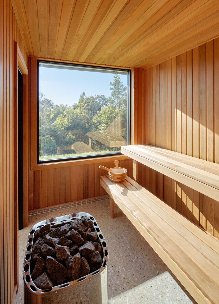 Ispirazione per una sauna design di medie dimensioni con pavimento in cemento