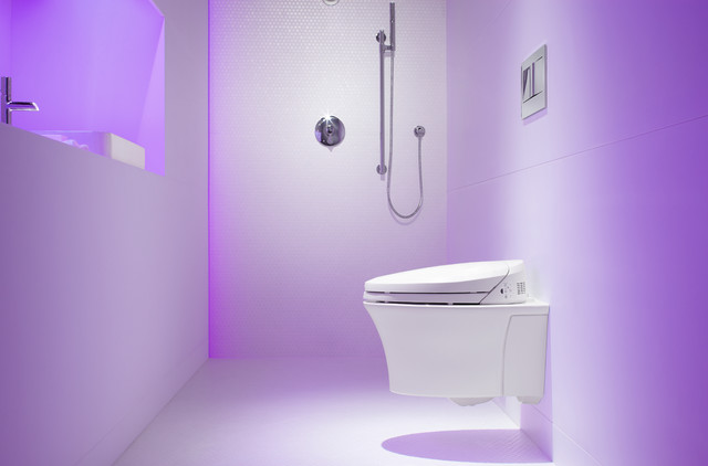 Kohler wall sale hung toilet