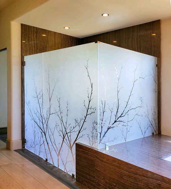 Large etched glass shower door Contemporary Bathroom San Diego