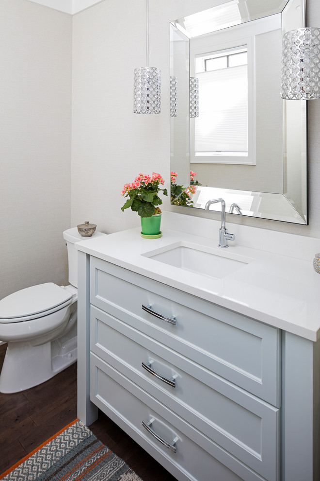 Bild på ett litet vintage badrum med dusch, med luckor med infälld panel, grå skåp, en toalettstol med separat cisternkåpa, grå väggar, mörkt trägolv, ett undermonterad handfat och bänkskiva i akrylsten