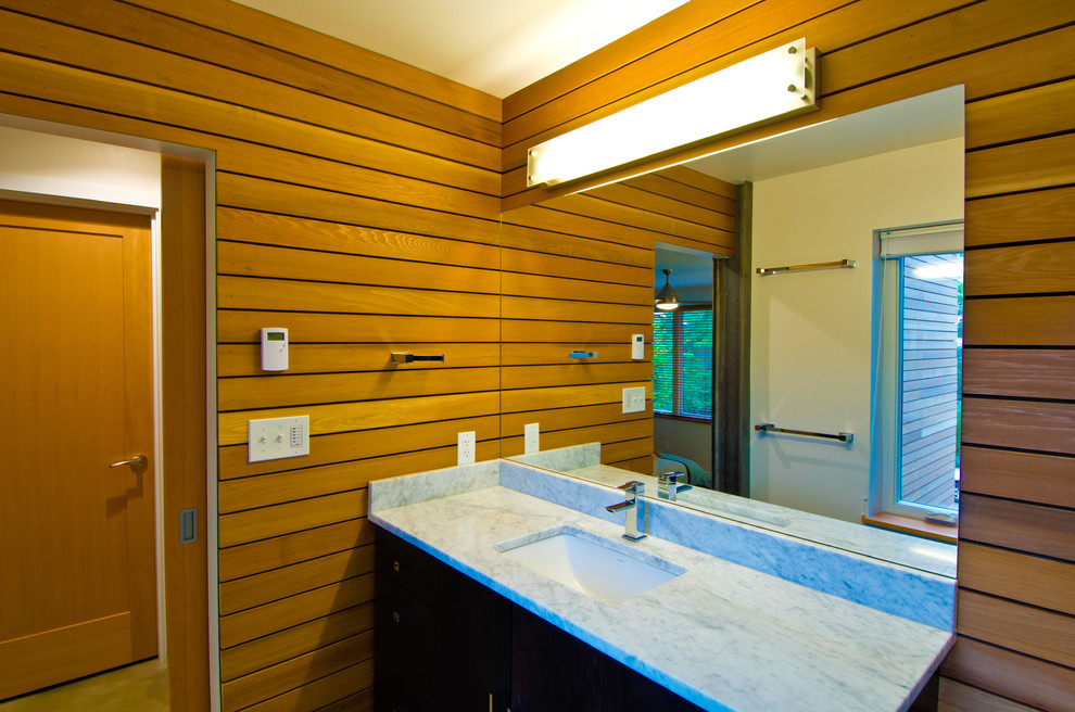 シアトルにある中くらいなモダンスタイルのおしゃれなマスターバスルーム (茶色い壁、アンダーカウンター洗面器、御影石の洗面台) の写真