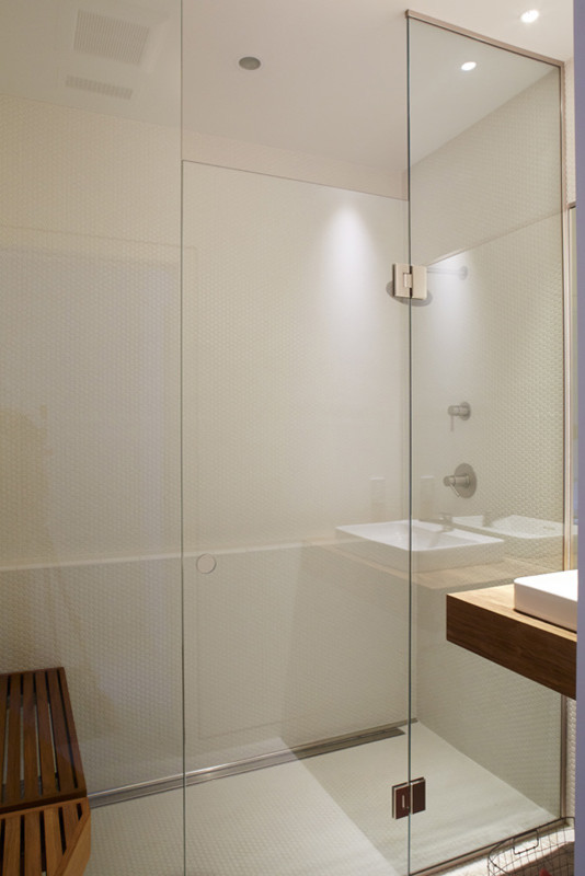 Cette image montre une salle d'eau minimaliste avec une douche à l'italienne.